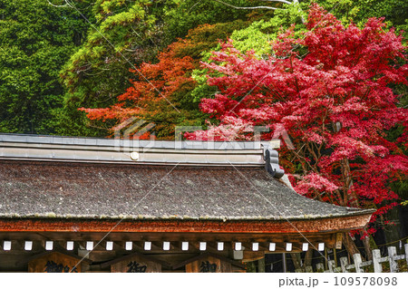 出雲大神宮(京都府亀岡市)の紅葉 出雲大神宮(京都府亀岡市)の紅葉 109578098
