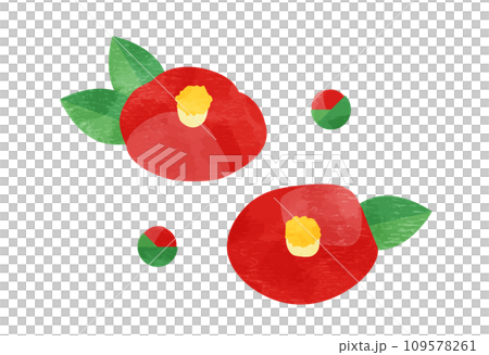 Red camellia flower Japanese style Red camellia flower Japanese style 109578261