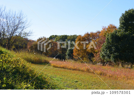 吉野ケ里村の風景 吉野ケ里村の風景 109578301