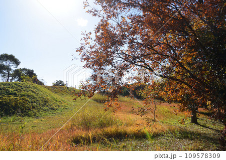 吉野ケ里村の風景 吉野ケ里村の風景 109578309