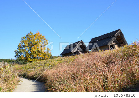 吉野ケ里村の風景 吉野ケ里村の風景 109578310
