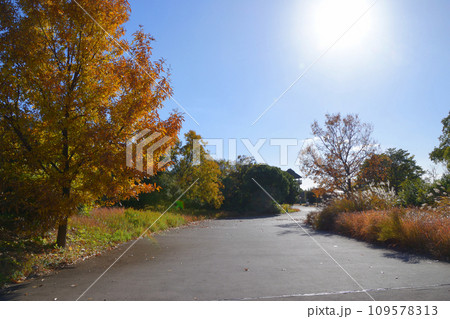 吉野ケ里村の風景 109578313