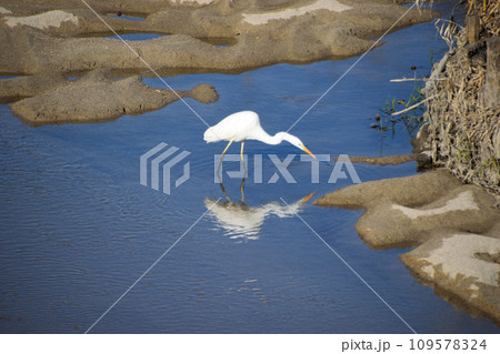 吉野ケ里村の風景 109578324