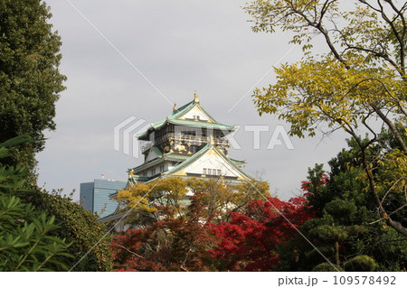 大阪城公園の晩秋の風景 大阪城公園の晩秋の風景 109578492