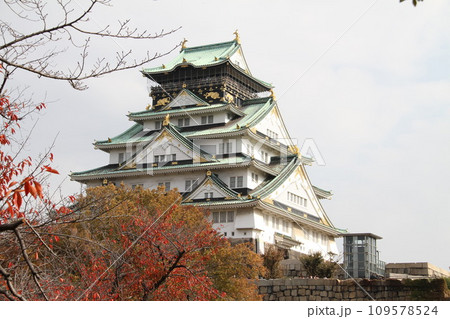 大阪城公園の晩秋の風景 大阪城公園の晩秋の風景 109578524
