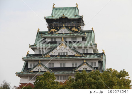 大阪城公園の晩秋の風景 大阪城公園の晩秋の風景 109578544