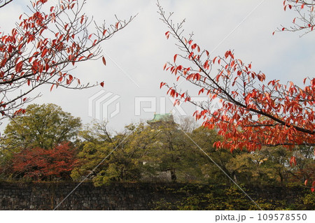 大阪城公園の晩秋の風景 109578550