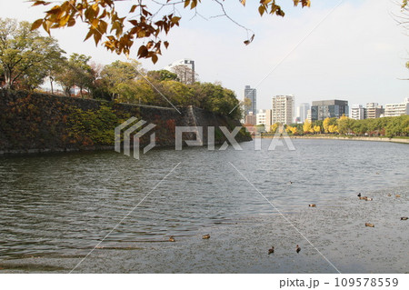 大阪城公園の晩秋の風景 109578559