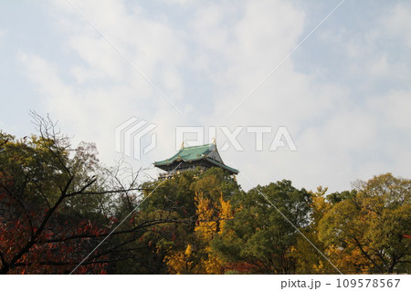 大阪城公園の晩秋の風景 109578567
