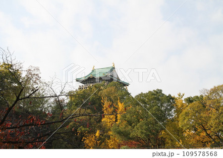 大阪城公園の晩秋の風景 大阪城公園の晩秋の風景 109578568