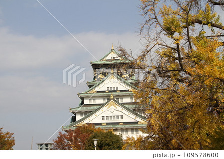 大阪城公園の晩秋の風景 大阪城公園の晩秋の風景 109578600