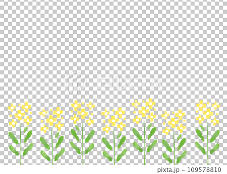 水彩風 菜の花の背景イラスト 水彩風 菜の花の背景イラスト 109578810