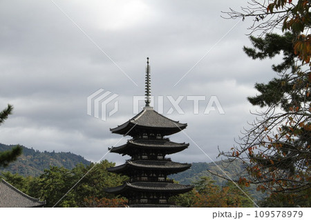 奈良興福寺の晩秋の風景 109578979