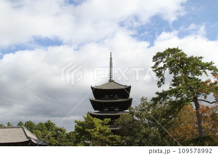 奈良興福寺の晩秋の風景 109578992