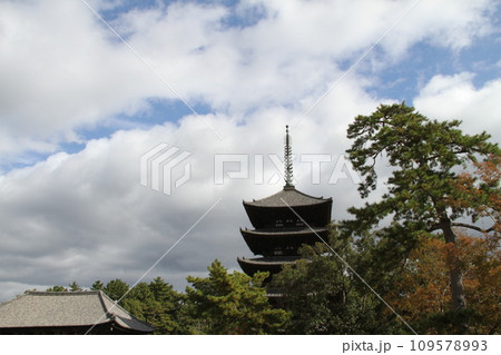 奈良興福寺の晩秋の風景 奈良興福寺の晩秋の風景 109578993