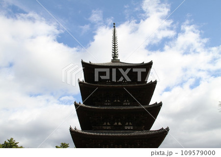 奈良興福寺の晩秋の風景 109579000