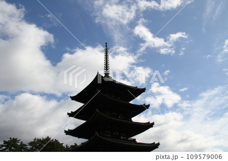 奈良興福寺の晩秋の風景 奈良興福寺の晩秋の風景 109579006