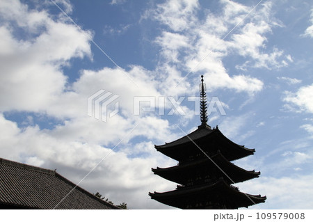 奈良興福寺の晩秋の風景 109579008