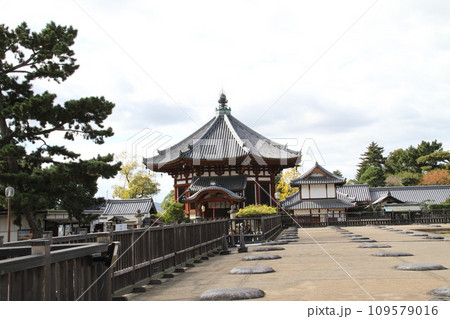 奈良興福寺の晩秋の風景 109579016