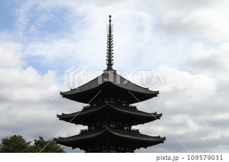 奈良興福寺の晩秋の風景 奈良興福寺の晩秋の風景 109579031
