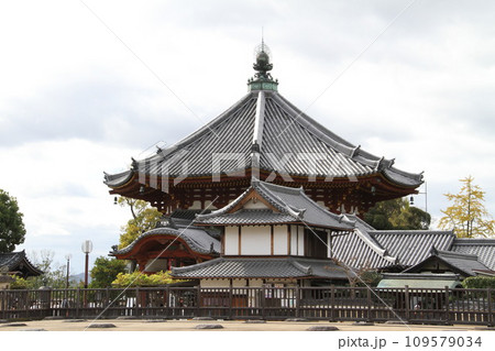 奈良興福寺の晩秋の風景 奈良興福寺の晩秋の風景 109579034