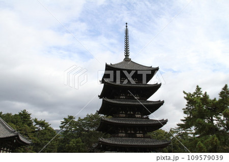 奈良興福寺の晩秋の風景 奈良興福寺の晩秋の風景 109579039
