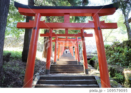 有子山稲荷神社への参道（兵庫県 豊岡市 出石町） 109579095