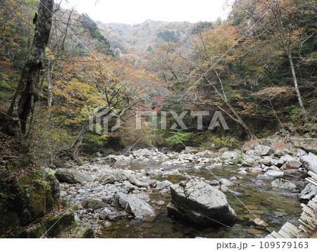 三段峡の美しい風景　11月 109579163