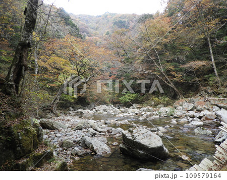 三段峡の美しい風景　11月 109579164