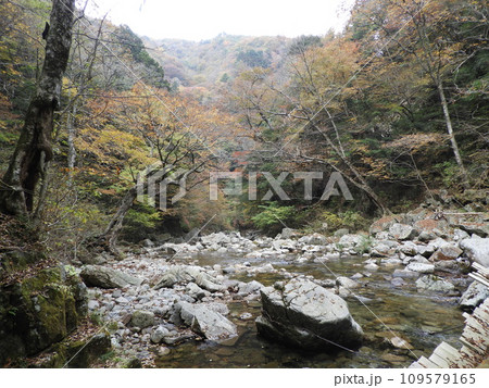 三段峡の美しい風景　11月 109579165