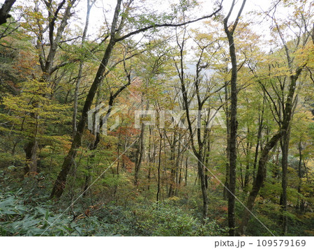 三段峡の美しい風景　11月 109579169