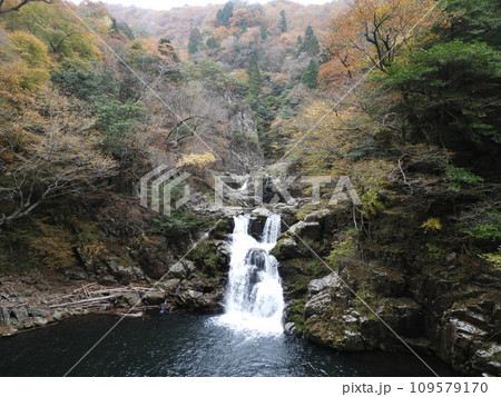 三段峡の美しい風景　11月 109579170