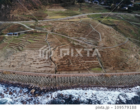 白米千枚田　冬 109579188