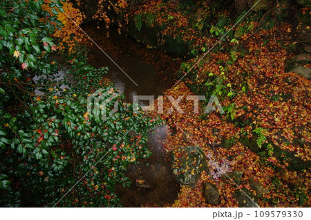 晩秋風景 晩秋風景 109579330