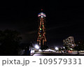 巨大なクリスマスツリー 109579331