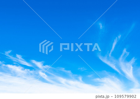 青空 109579902