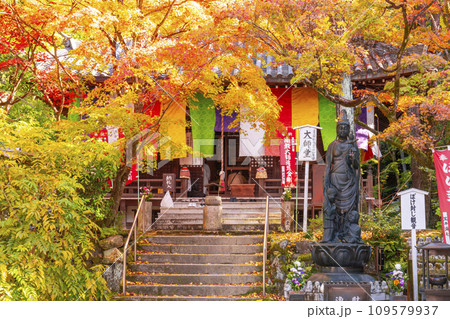 秋の京都 今熊野観音寺 紅葉に包まれた大師堂 秋の京都 今熊野観音寺 紅葉に包まれた大師堂 109579937
