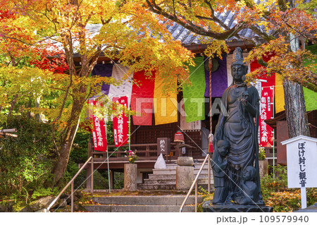 秋の京都　今熊野観音寺　紅葉に包まれた大師堂 109579940