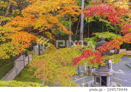 秋の京都 紅葉に包まれた今熊野観音寺の子護大師 秋の京都 紅葉に包まれた今熊野観音寺の子護大師 109579946