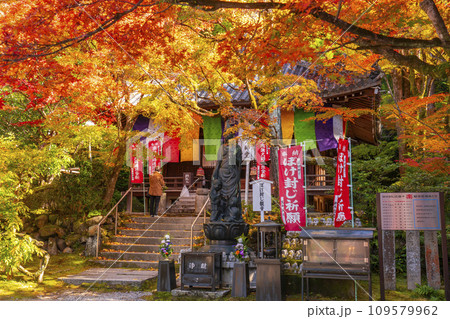 秋の京都 今熊野観音寺 紅葉に包まれた大師堂 秋の京都 今熊野観音寺 紅葉に包まれた大師堂 109579962