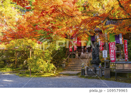 秋の京都 今熊野観音寺 紅葉に包まれた大師堂 秋の京都 今熊野観音寺 紅葉に包まれた大師堂 109579965