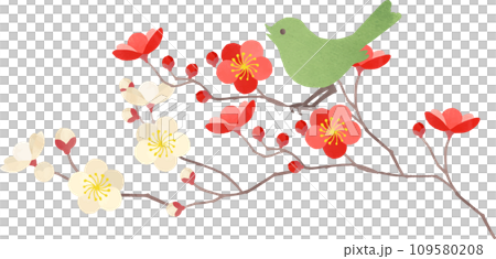 Illustration of plum and Japanese warbler 109580208