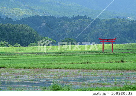 菅原神社の鳥居 109580532