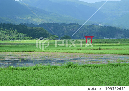 菅原神社の鳥居 109580633