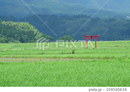 菅原神社の鳥居 菅原神社の鳥居 109580638