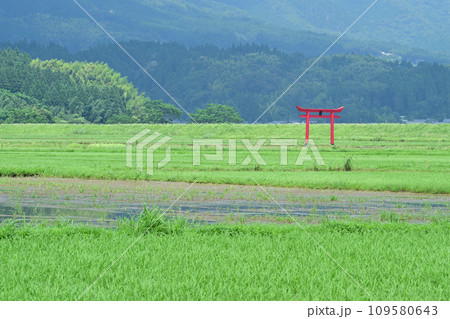菅原神社の鳥居 109580643