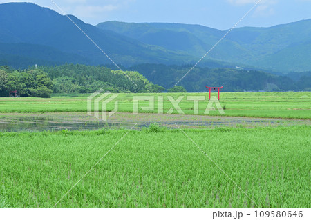 菅原神社の鳥居 菅原神社の鳥居 109580646
