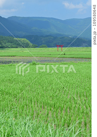 菅原神社の鳥居 109580648