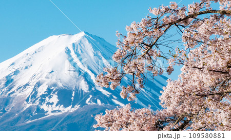 桜と富士山 桜と富士山 109580881