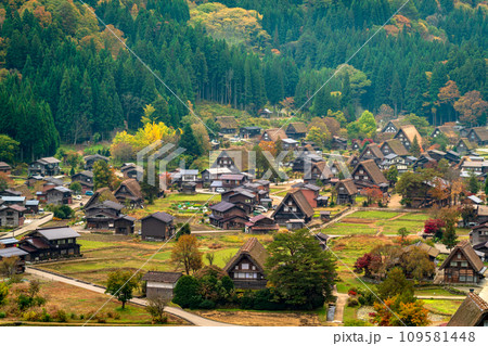 白川郷の紅葉 世界遺産 岐阜県 白川郷の紅葉 世界遺産 岐阜県 109581448